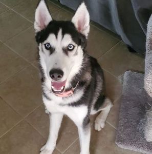 Meet your Posher, Rj